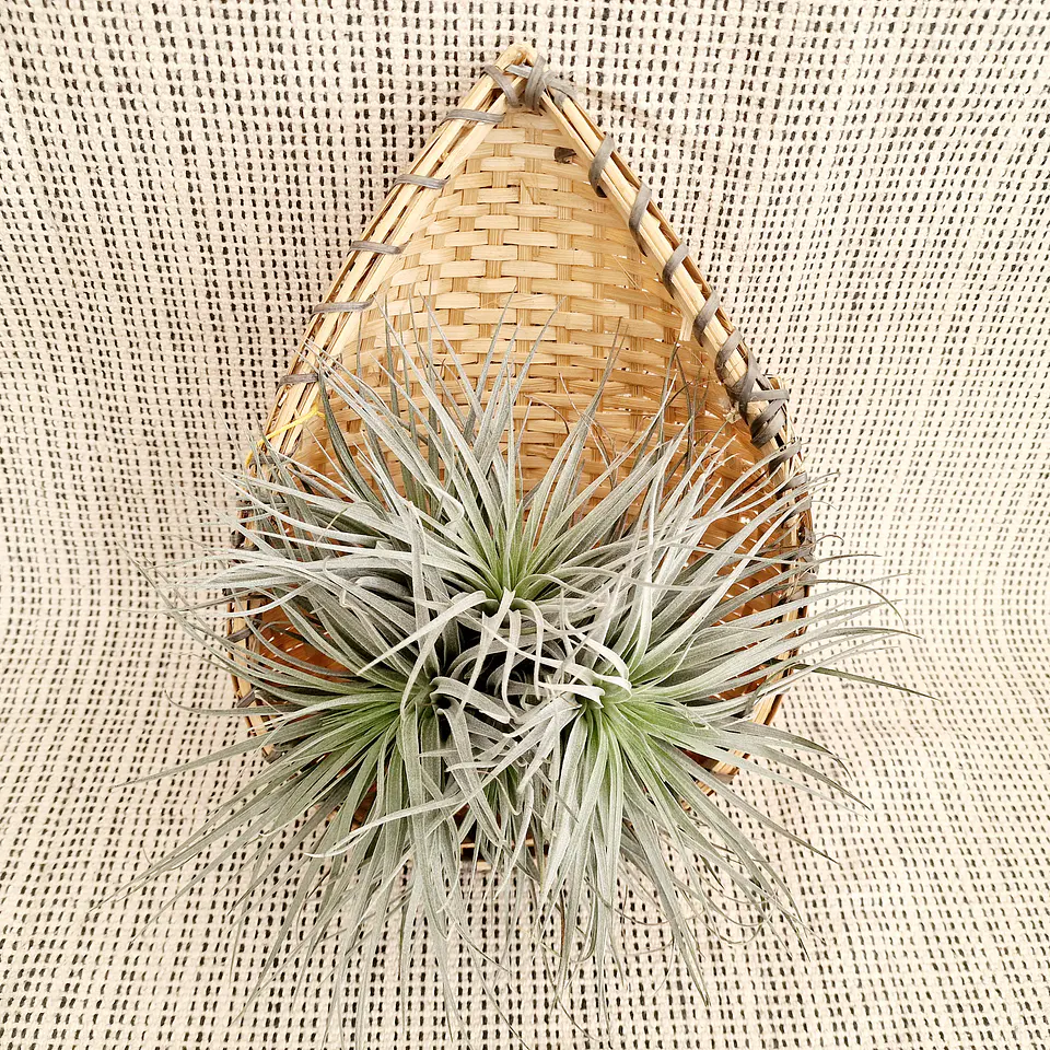 Cesto Decorativo em Forma de Lágrima – Artesanato da Índia 1