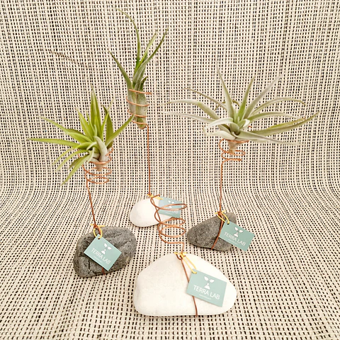 Suporte de Pedra e Cobre para Air Plants – Elegância Natural e Minimalista