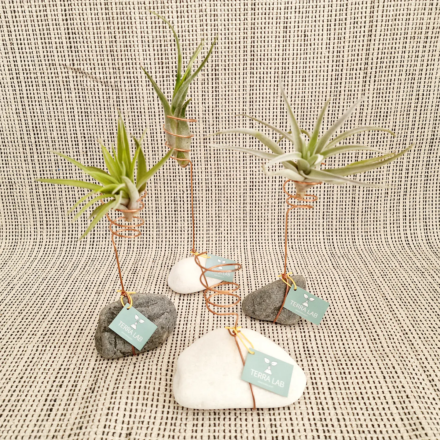 Stone and Copper Air Plant Stand – Natural and Minimalist Elegance 1
