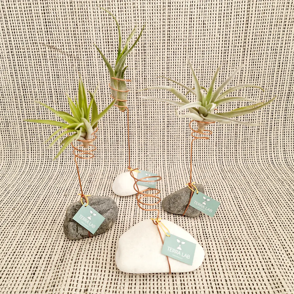 Stone and Copper Air Plant Stand – Natural and Minimalist Elegance 1
