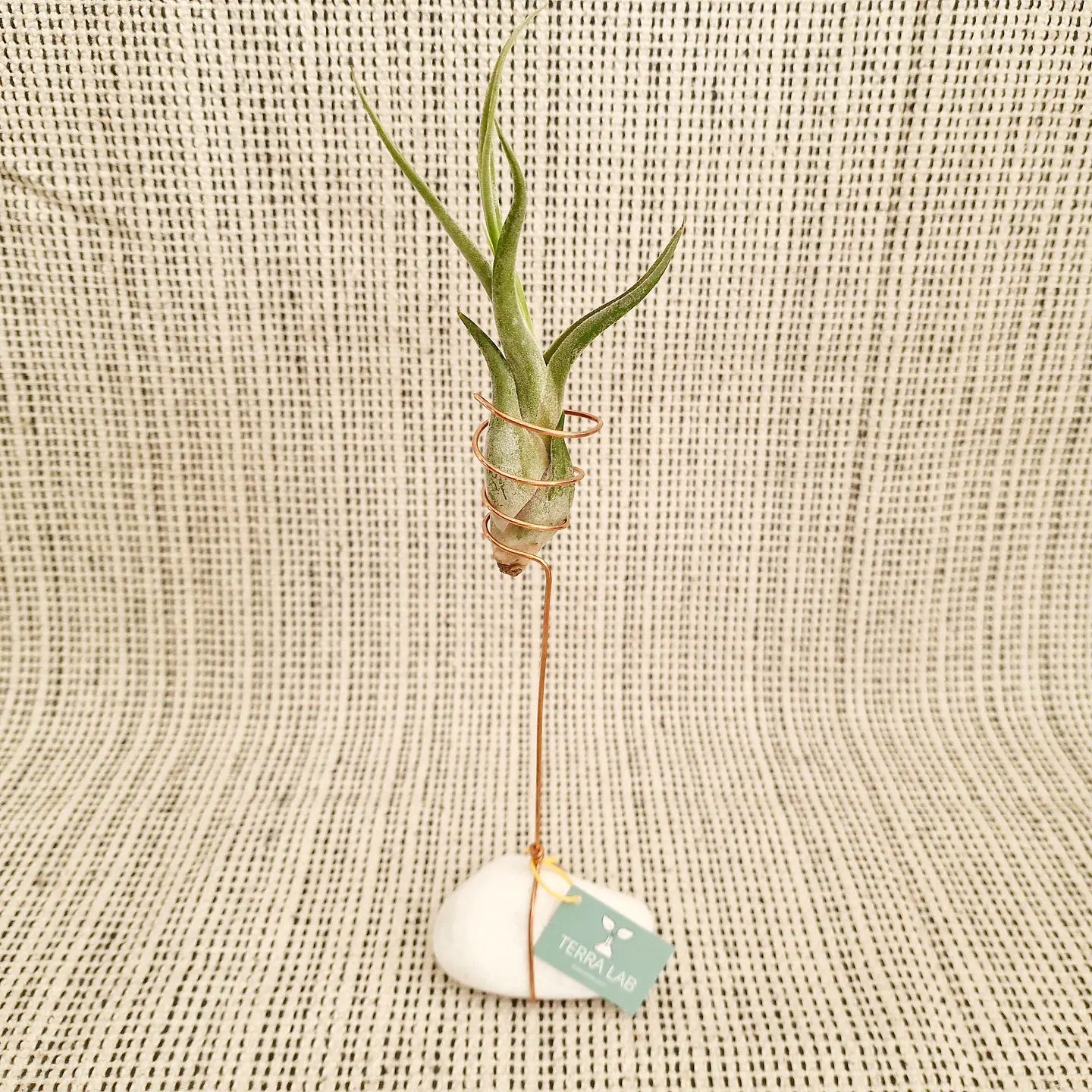 Stone and Copper Air Plant Stand – Natural and Minimalist Elegance 2