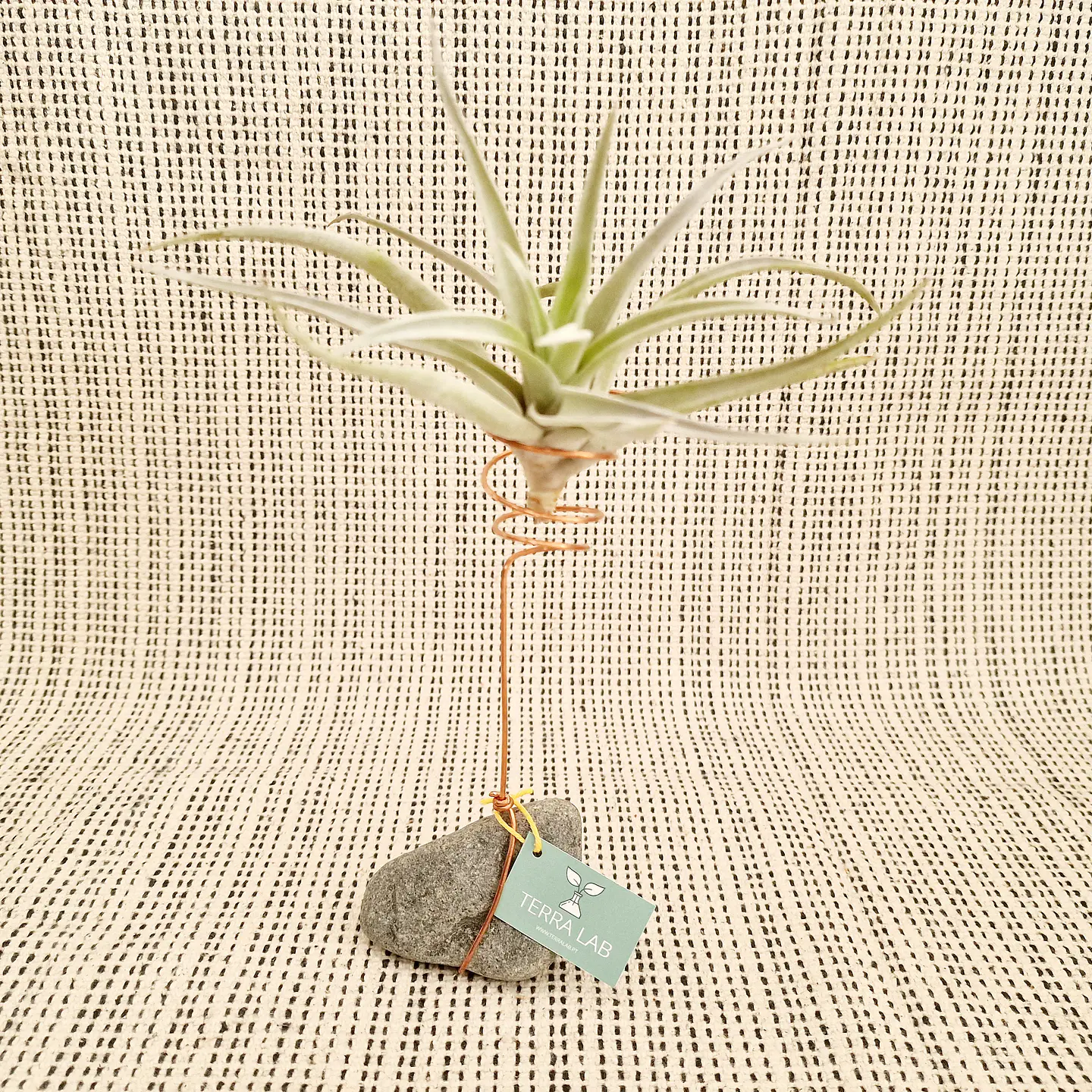 Stone and Copper Air Plant Stand – Natural and Minimalist Elegance 4