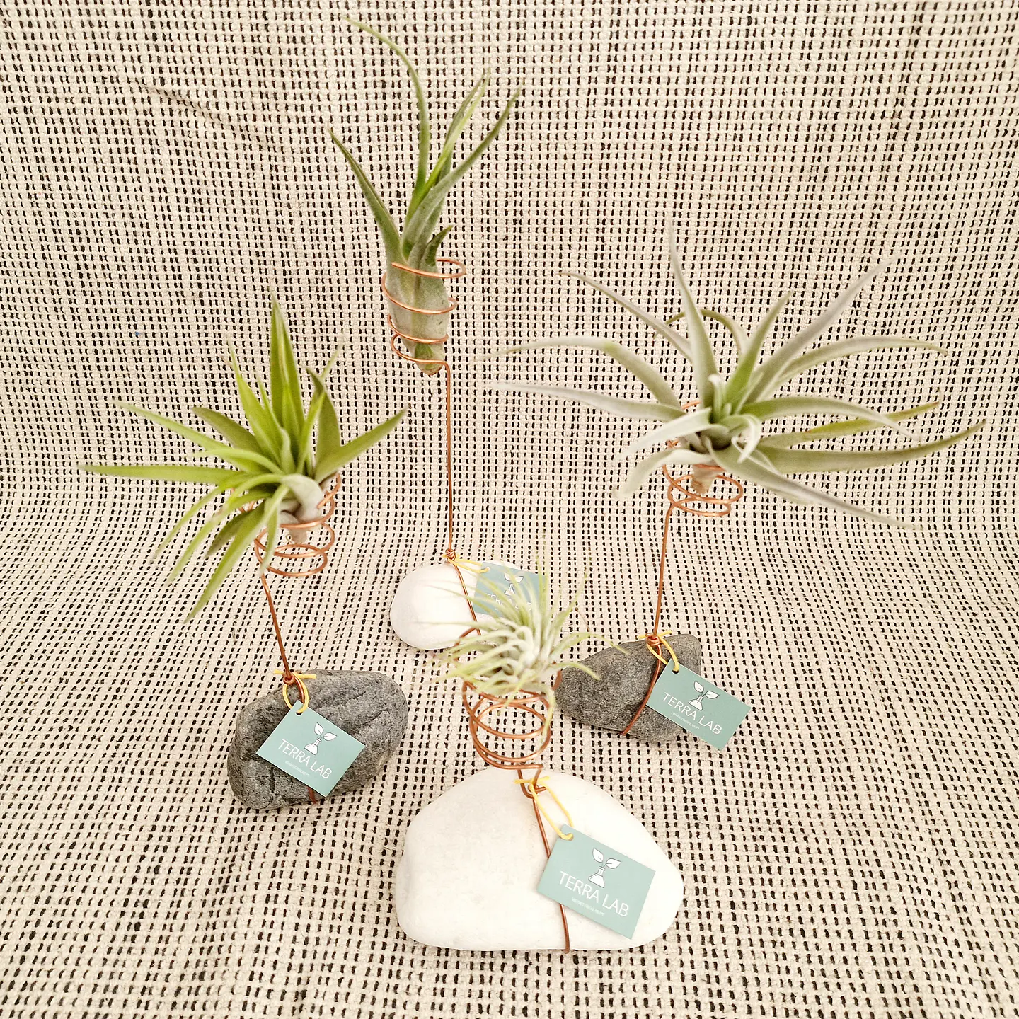 Stone and Copper Air Plant Stand – Natural and Minimalist Elegance 6