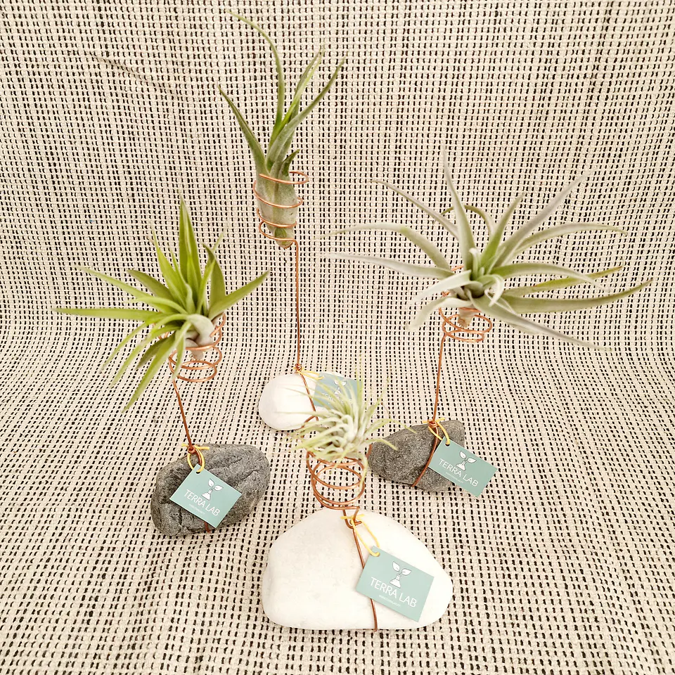 Stone and Copper Air Plant Stand – Natural and Minimalist Elegance 6