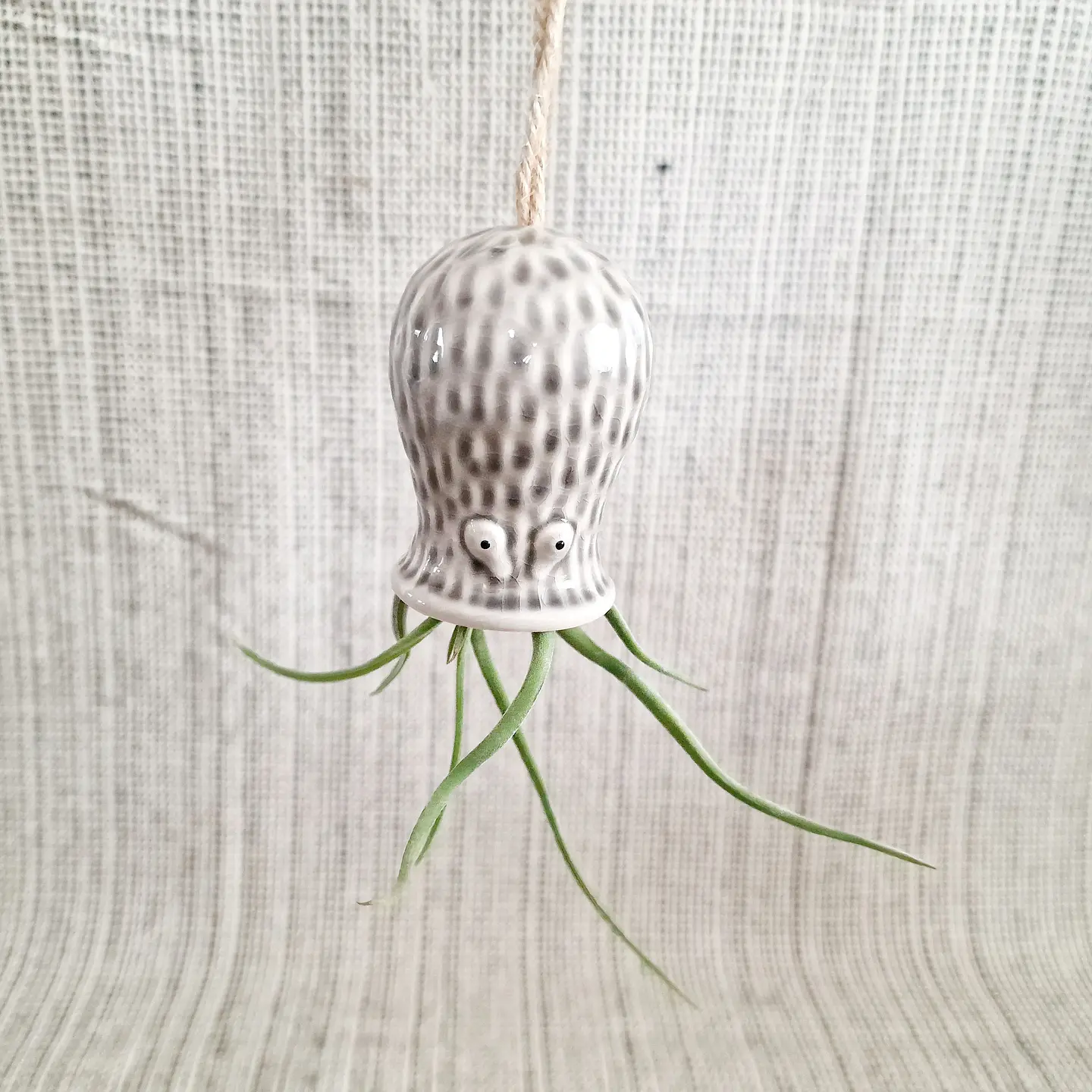 Ceramic Hanging Holder – Decorative Octopus for Air Plants 4