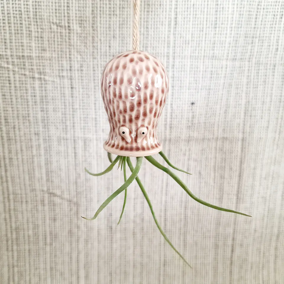 Ceramic Hanging Holder – Decorative Octopus for Air Plants 6