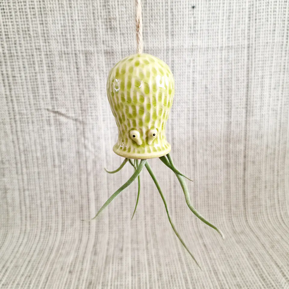 Ceramic Hanging Holder – Decorative Octopus for Air Plants 8