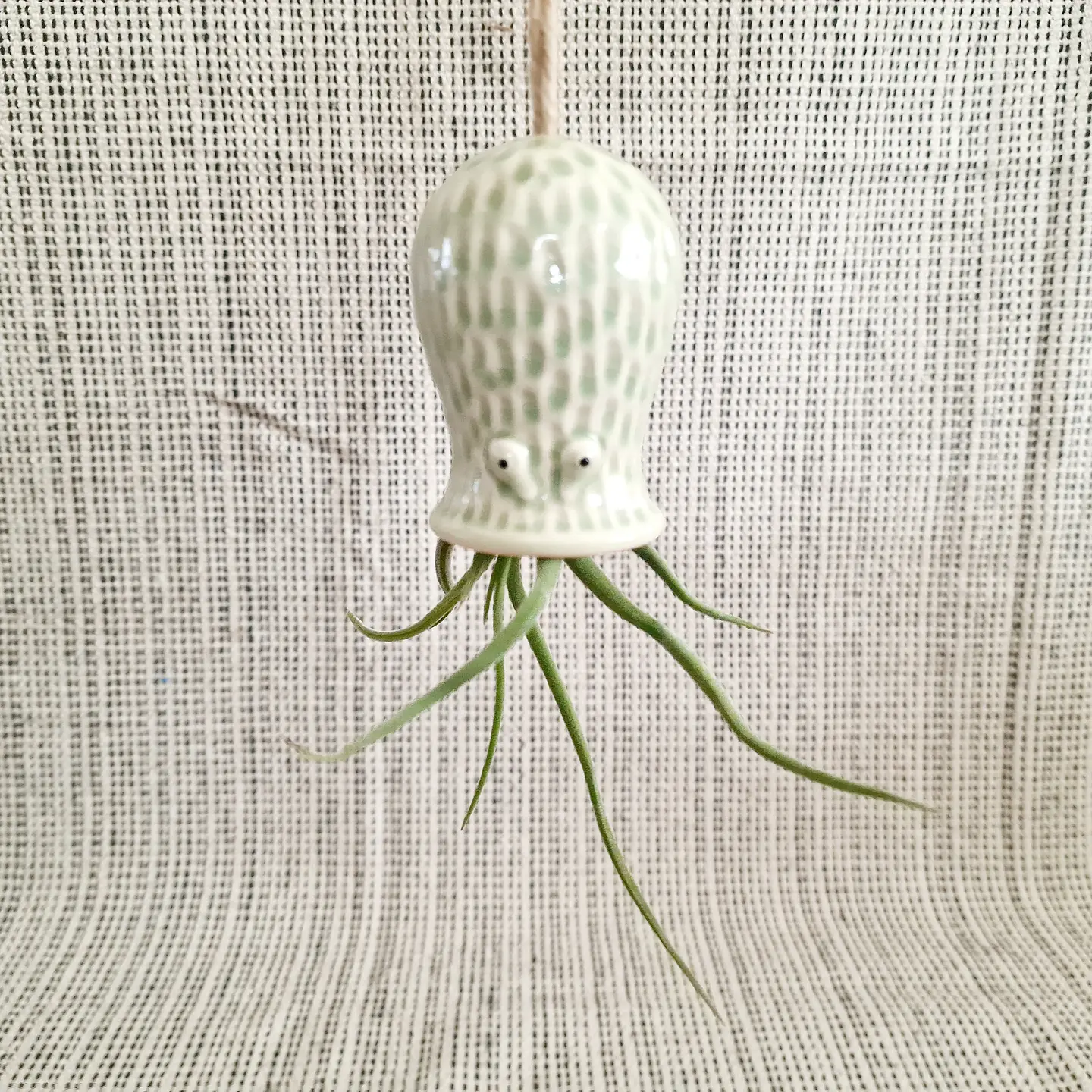Ceramic Hanging Holder – Decorative Octopus for Air Plants 10
