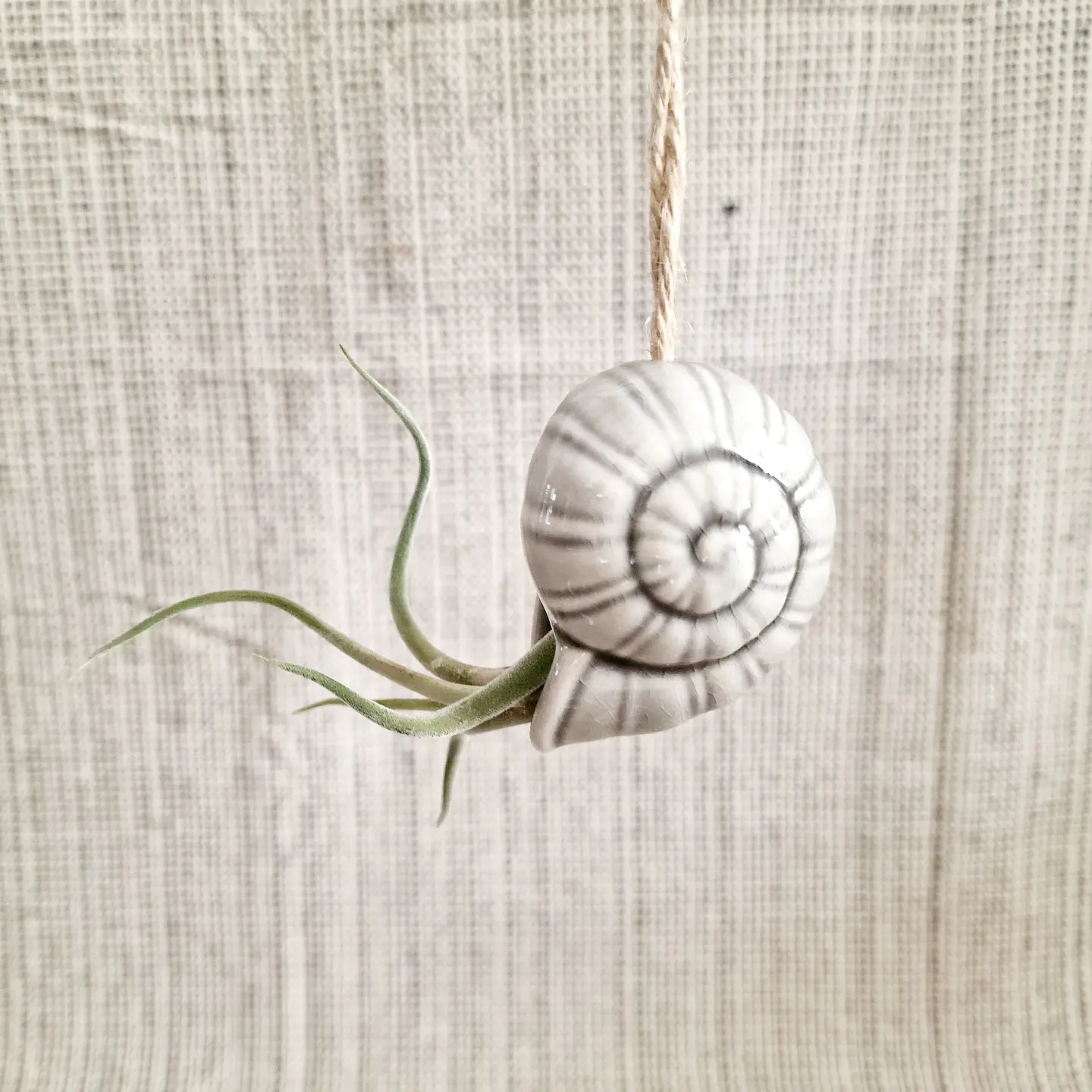 Suporte Suspenso em Cerâmica – Caracol para Air Plants 2