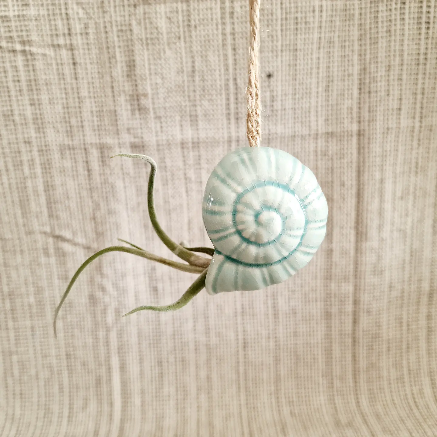 Suporte Suspenso em Cerâmica – Caracol para Air Plants 5