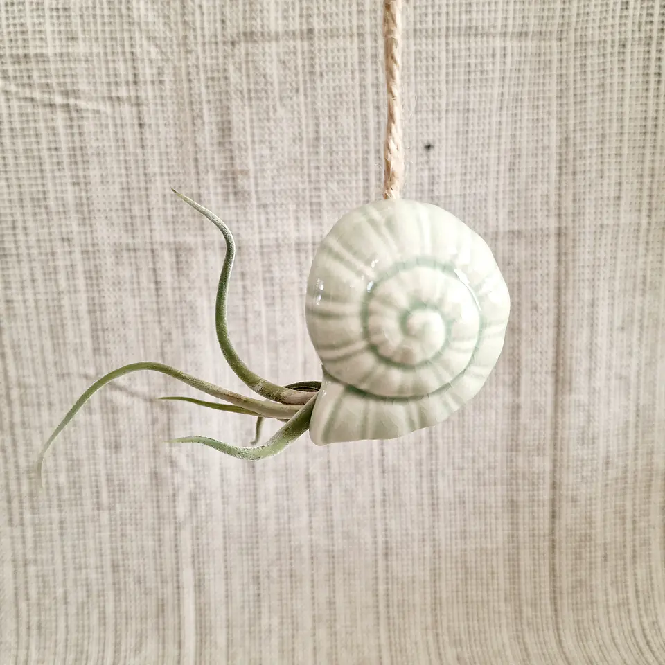 Suporte Suspenso em Cerâmica – Caracol para Air Plants 4