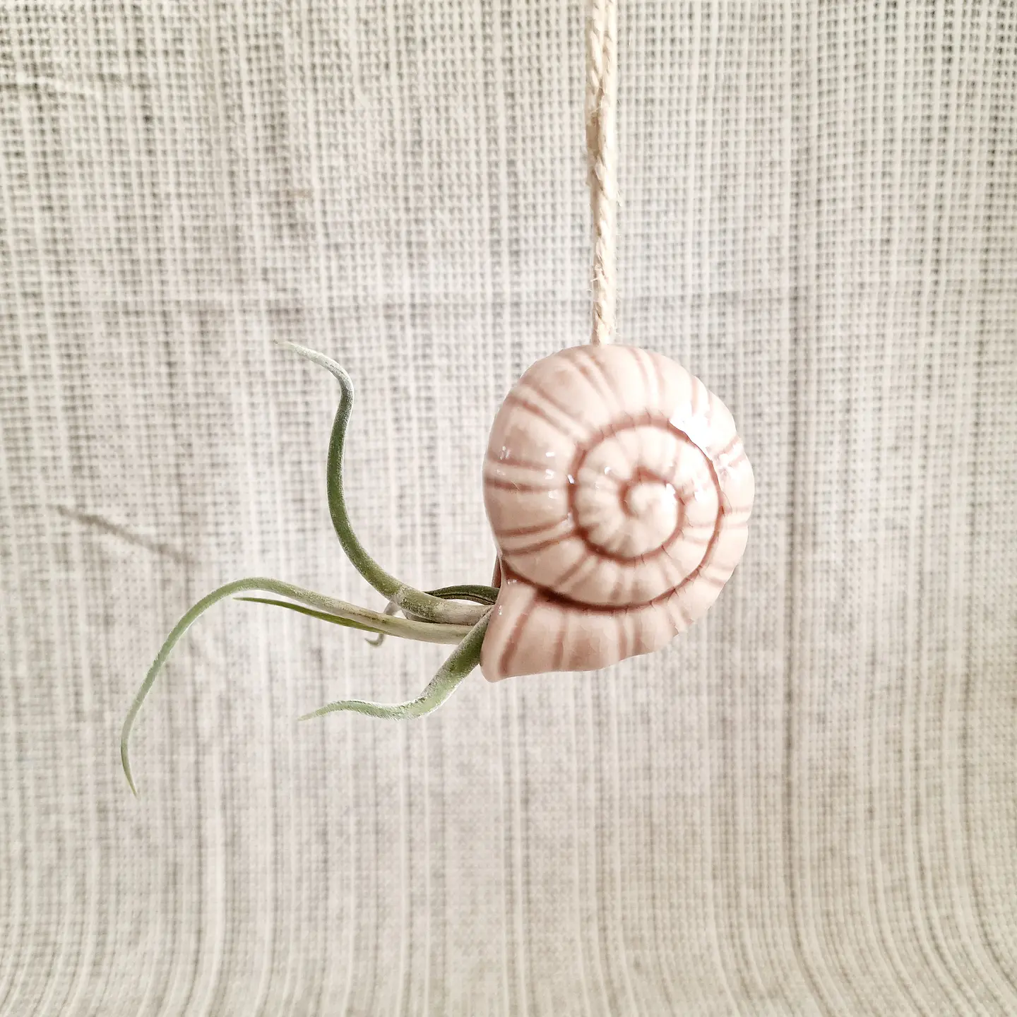 Suporte Suspenso em Cerâmica – Caracol para Air Plants 8