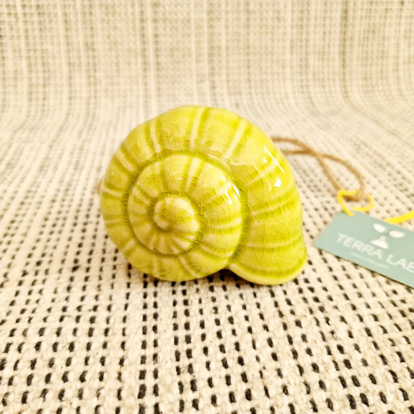 Suporte Suspenso em Cerâmica – Caracol para Air Plants 11