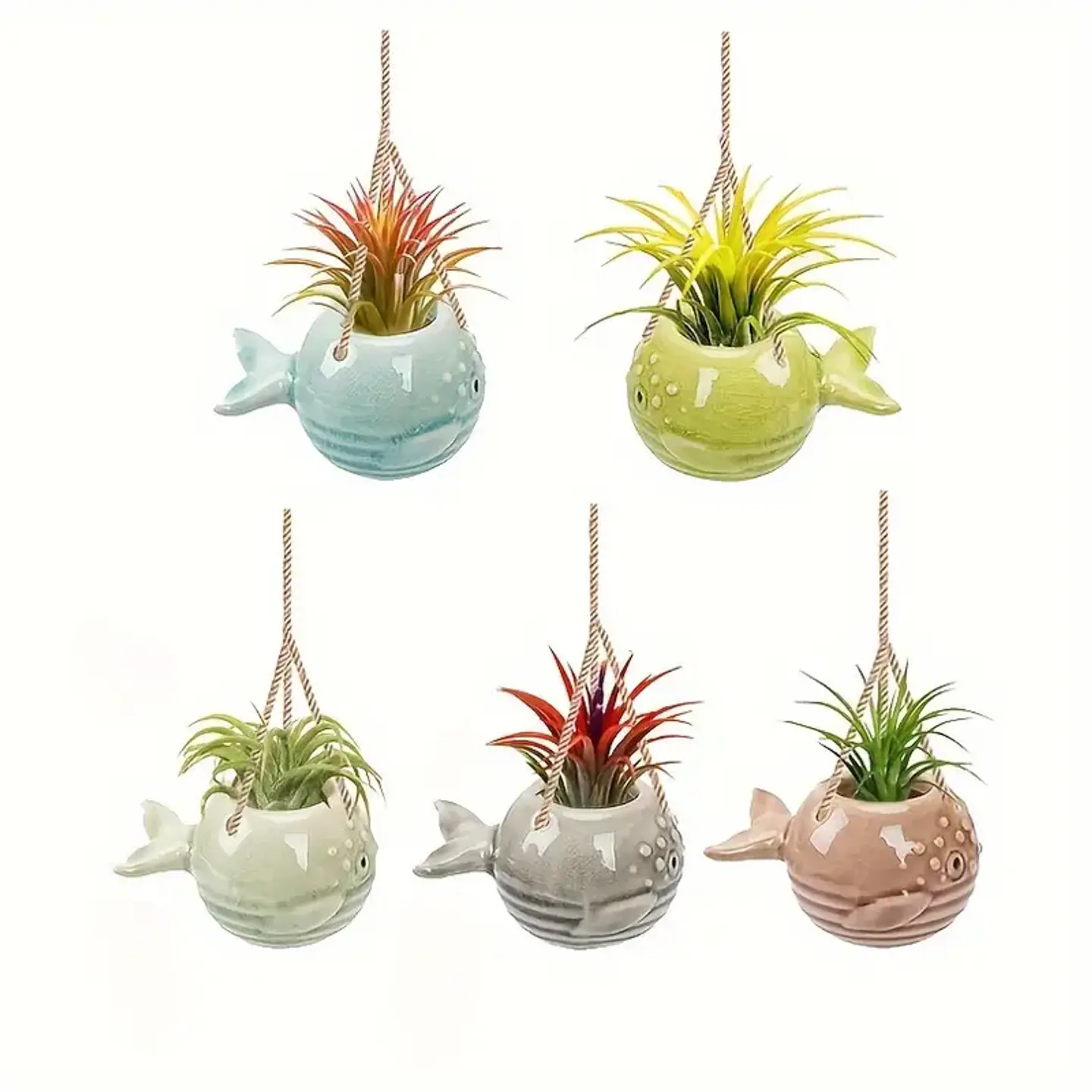 Suporte Suspenso em Cerâmica – Peixe Balão para Air Plants 2