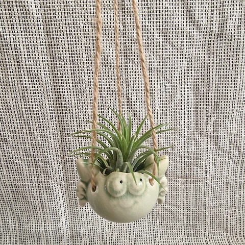 Suporte Suspenso em Cerâmica – Caranguejo para Air Plants