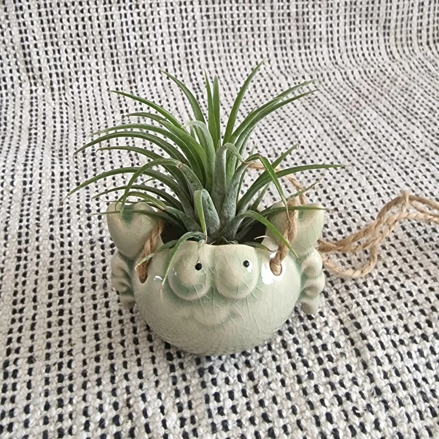 Ceramic Hanging Crab Air Plant Holder 2