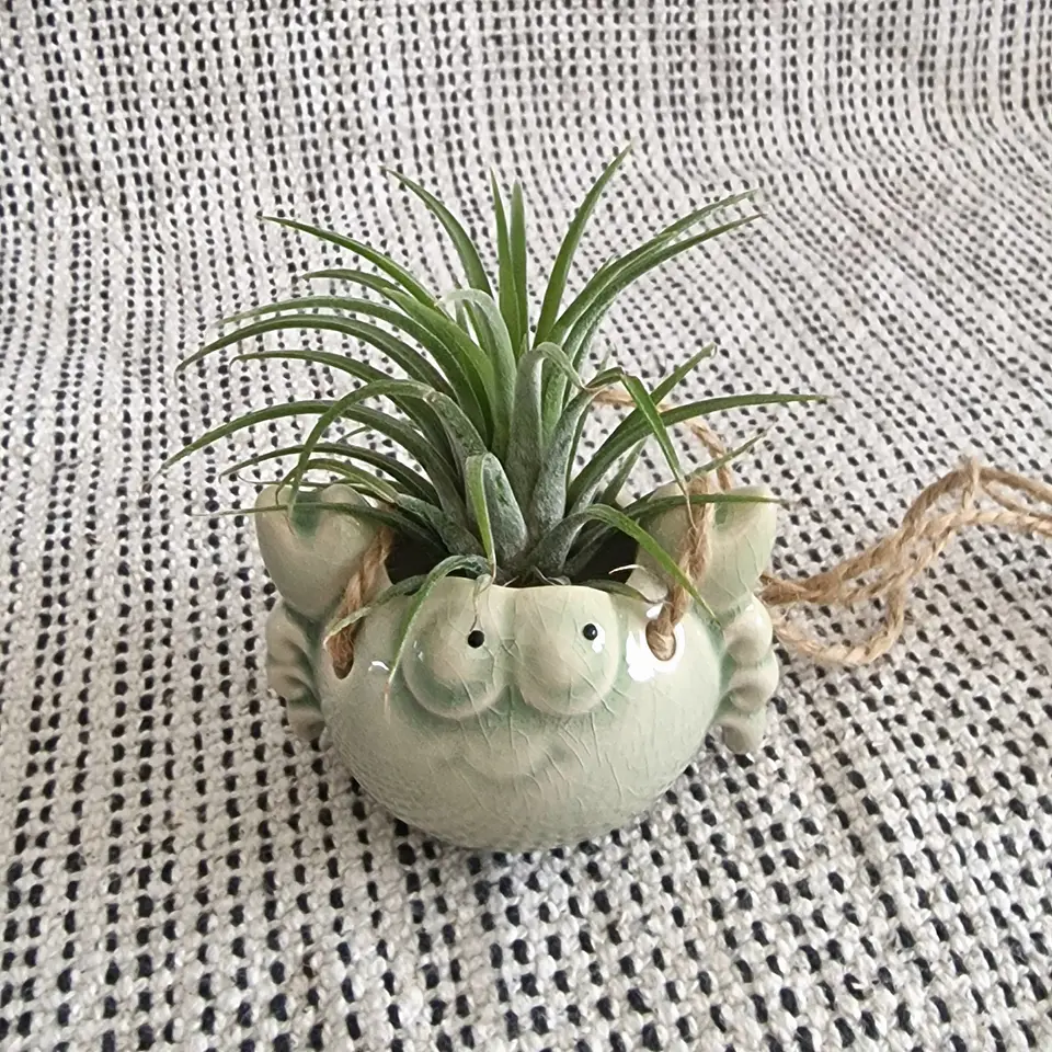 Ceramic Hanging Crab Air Plant Holder 2