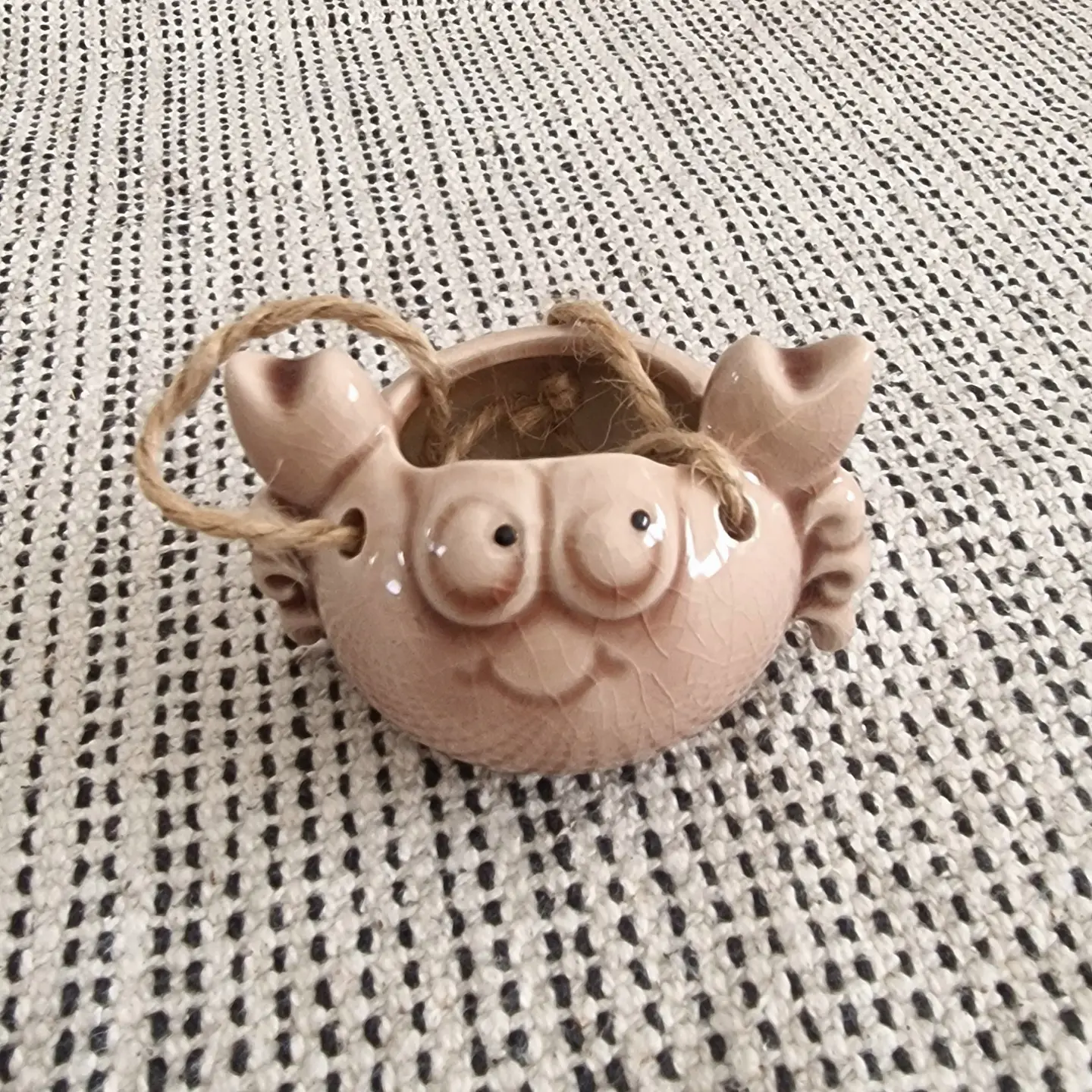 Ceramic Hanging Crab Air Plant Holder 4