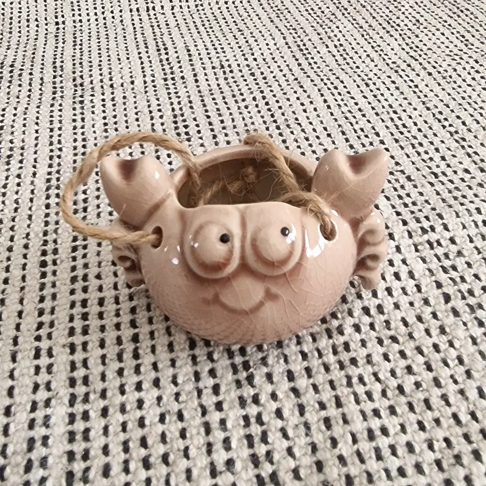 Ceramic Hanging Crab Air Plant Holder 4