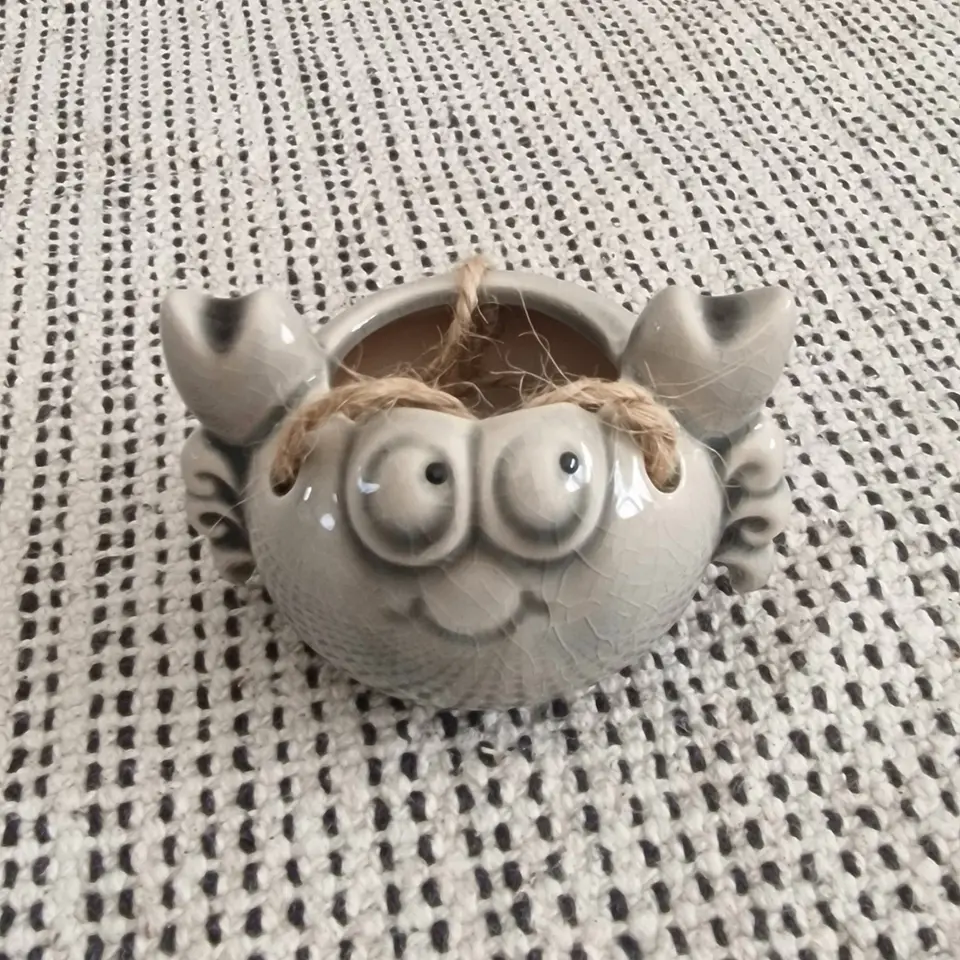 Ceramic Hanging Crab Air Plant Holder 5