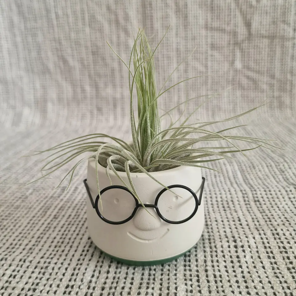 The Dude Vase 1