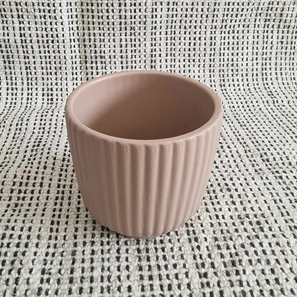 Vasos 6