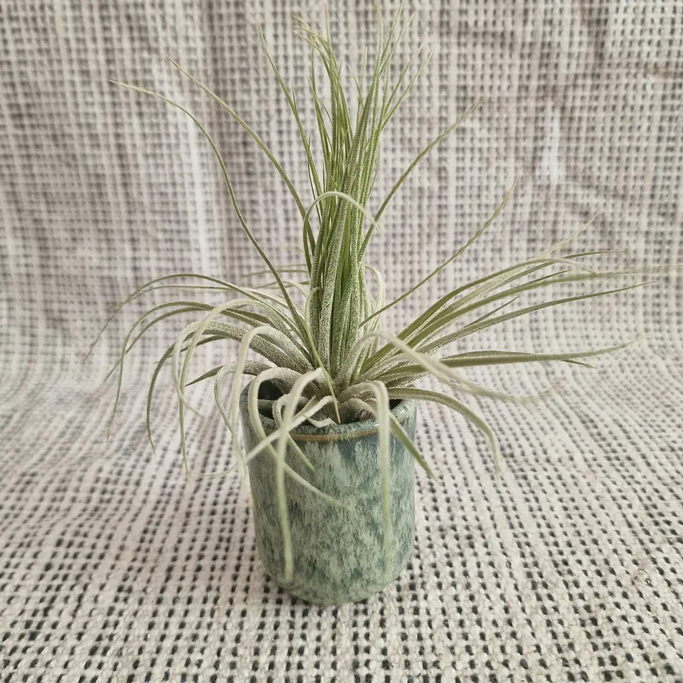 Vaso Verde Vidrado 1