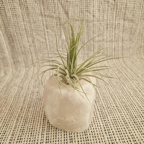 Suporte de Sal dos Himalaias