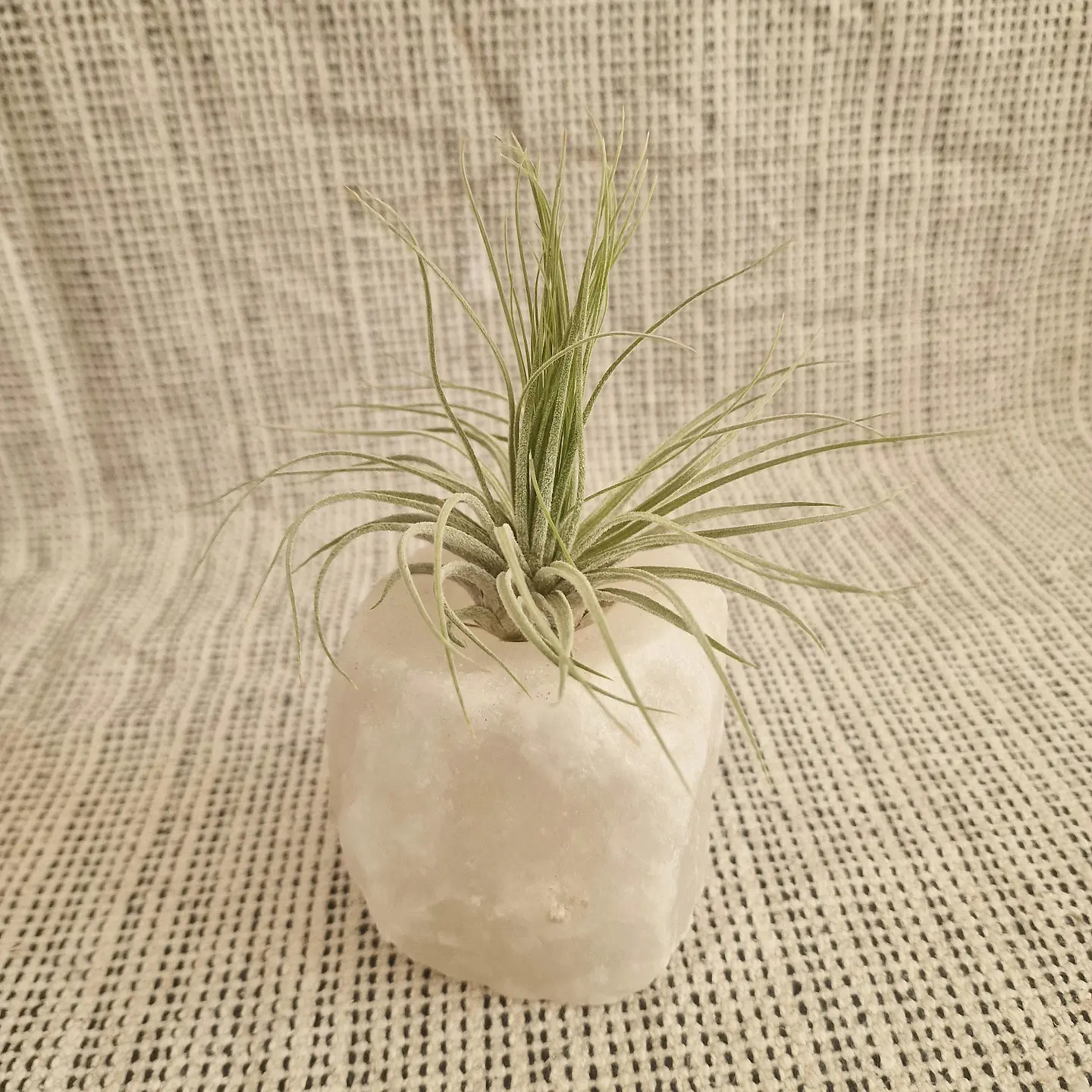 Himalayan Salt Holder 1
