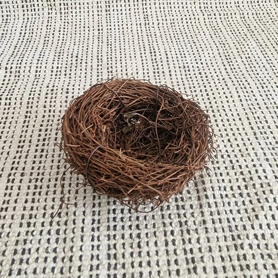 Nest for Air Plants 2