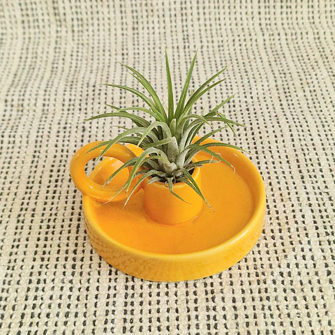 Suporte Cerâmica para Air Plant