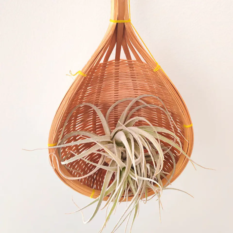 Handmade Basket from Laos 2