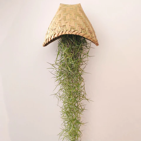 Cesto Artesanal do Laos – Suporte para Air Plants