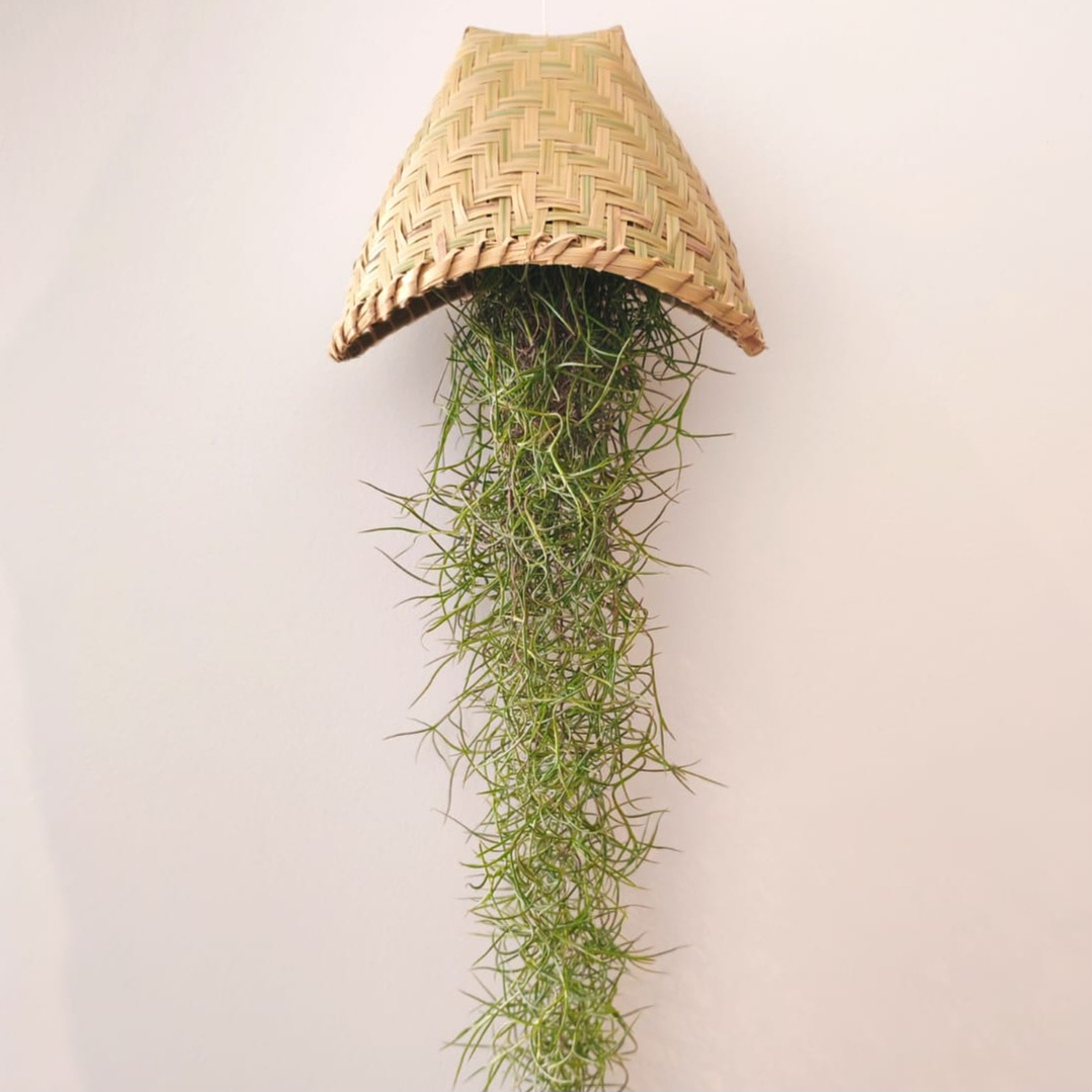 Cesto Artesanal do Laos – Suporte para Air Plants 1