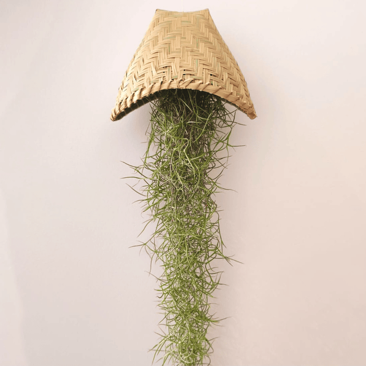Cesto Artesanal do Laos – Suporte para Air Plants 1