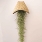 Cesto Artesanal do Laos – Suporte para Air Plants - Thumbnail 1