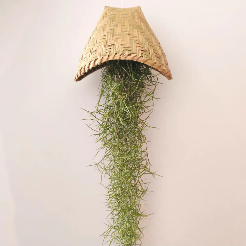 Cesto Artesanal do Laos – Suporte para Air Plants 1
