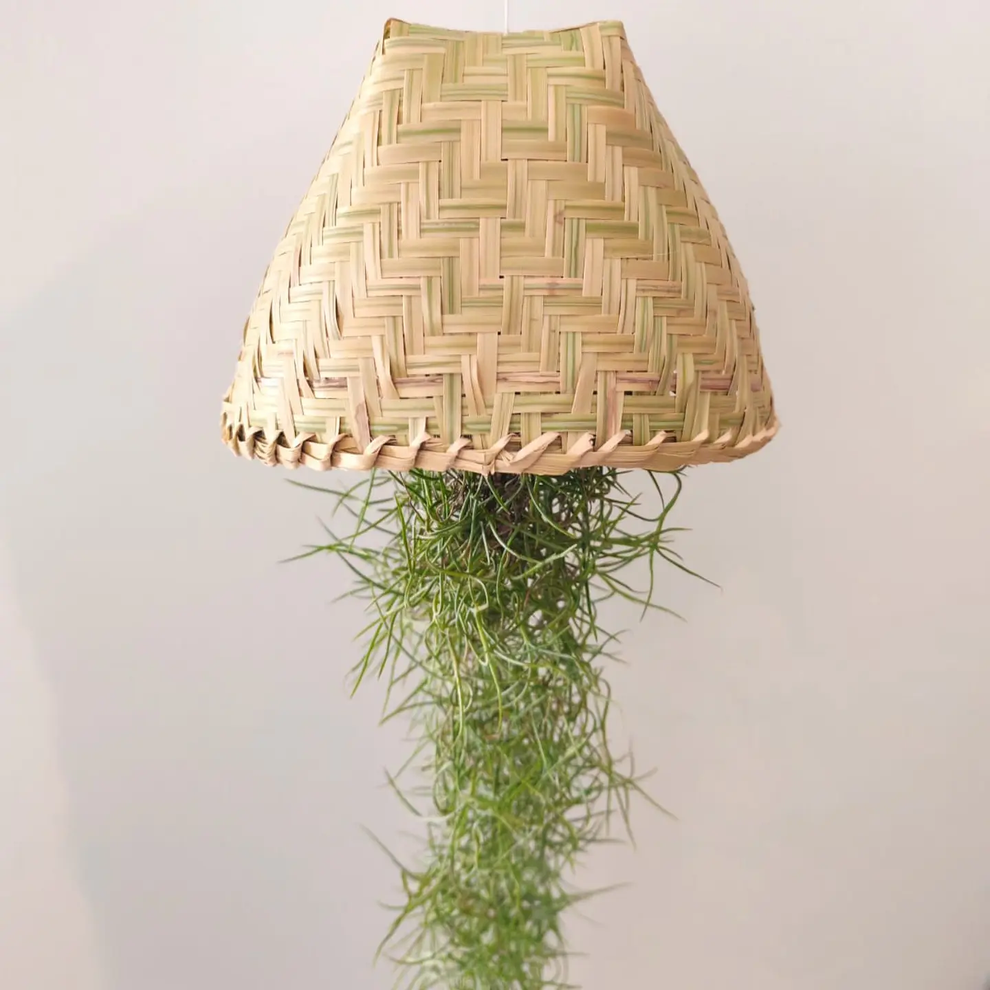 Cesto Artesanal do Laos – Suporte para Air Plants 2