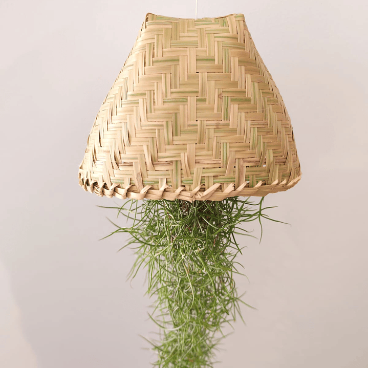 Cesto Artesanal do Laos – Suporte para Air Plants 3