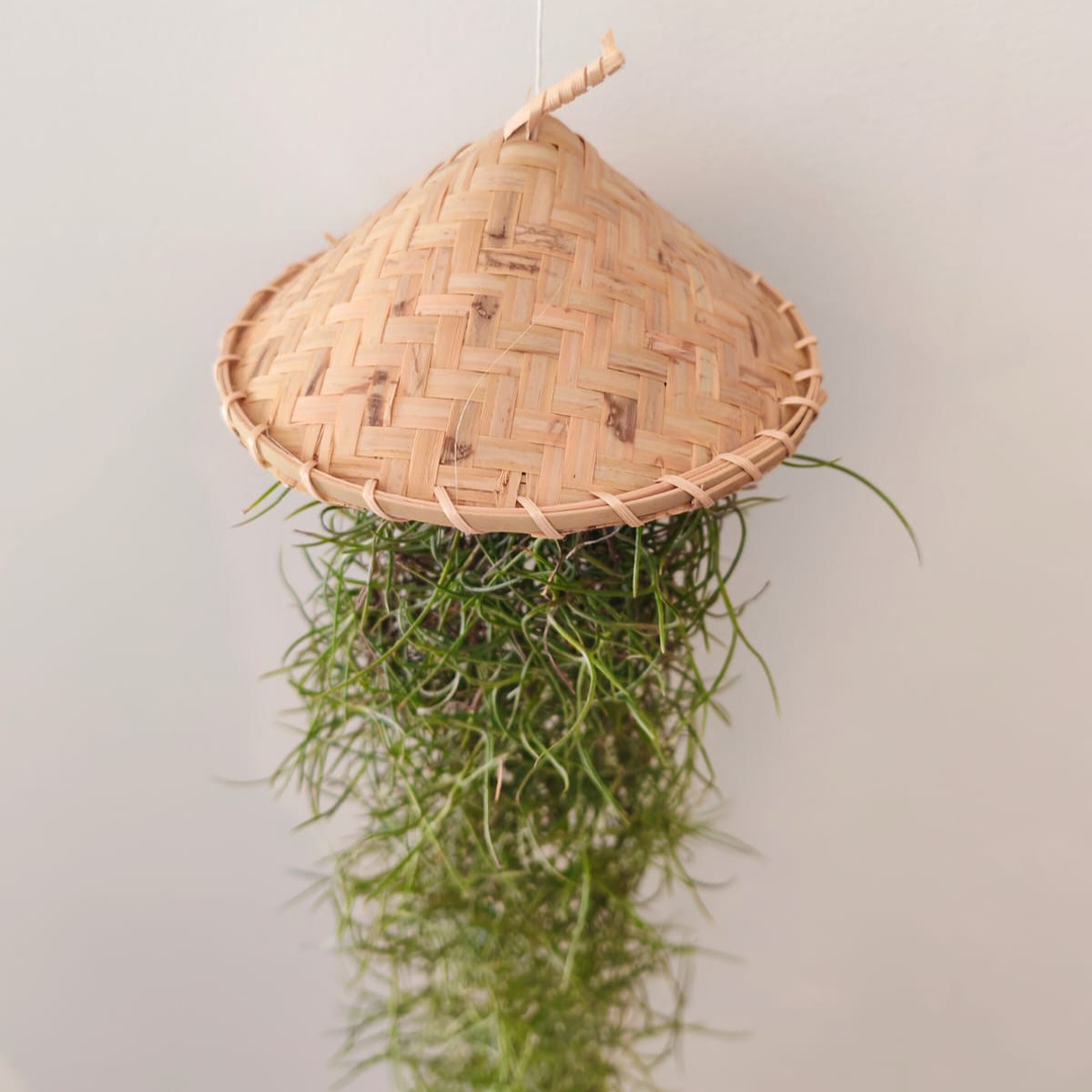Cesto Artesanal do Laos – Suporte para Air Plants 2