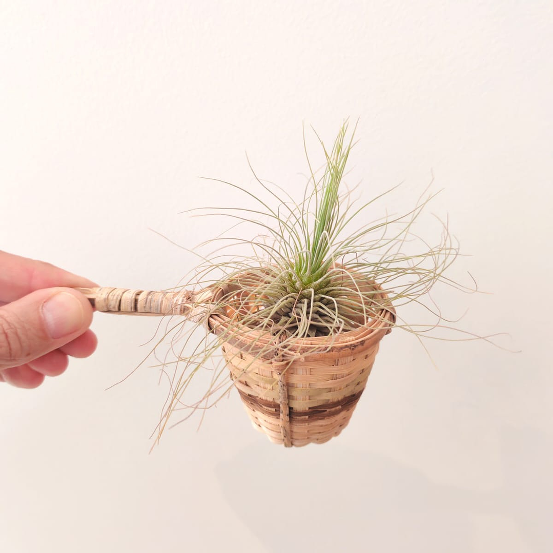 Cestinho Artesanal do Laos 4