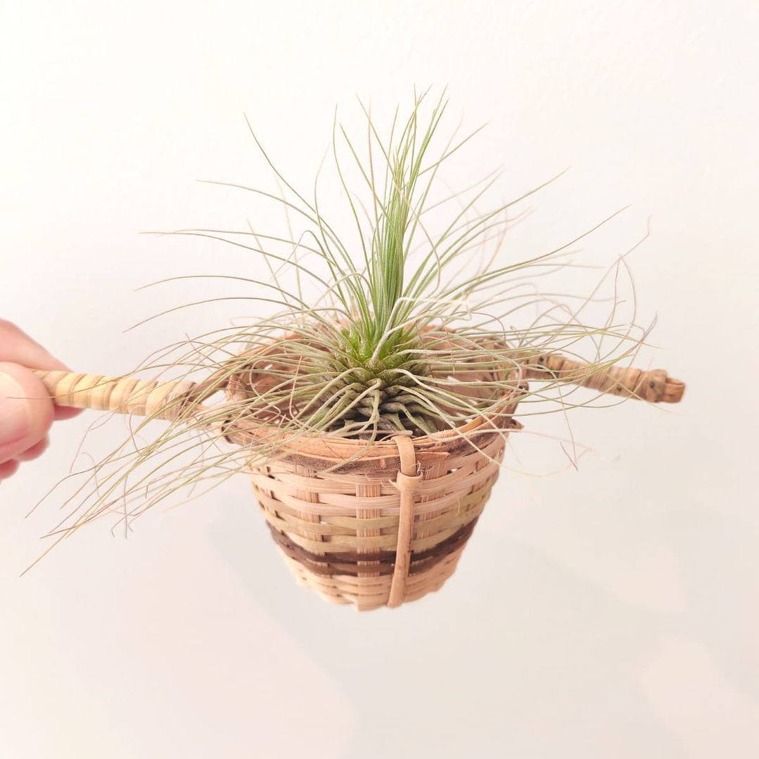 Cestinho Artesanal do Laos 5