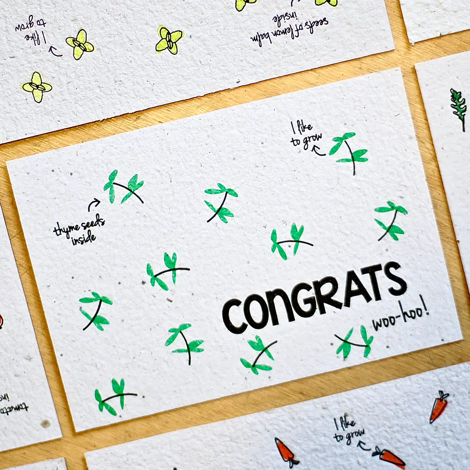 Plantable postcards with vegetable and herb seeds. 4