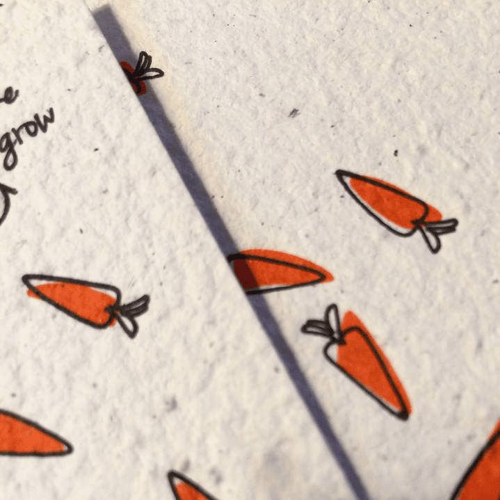 Plantable postcards with vegetable and herb seeds. 7