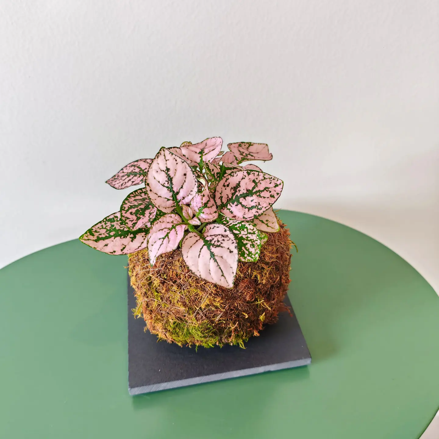 Base de Xisto para Kokedamas – Suporte Natural e Sofisticado 1