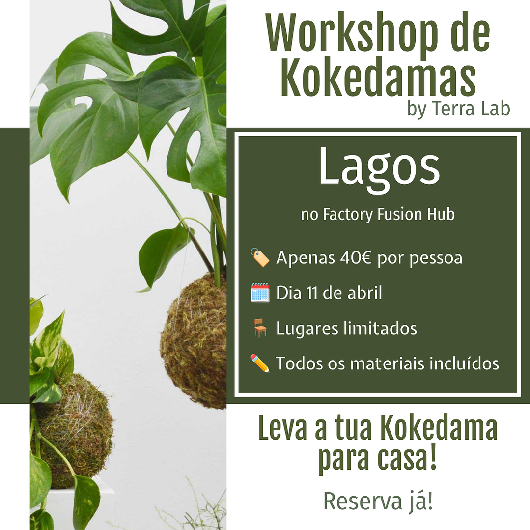 Workshop de Kokedamas - Lagos - 11 de Abril 1