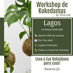 Workshop de Kokedamas - Lagos - 11 de Abril