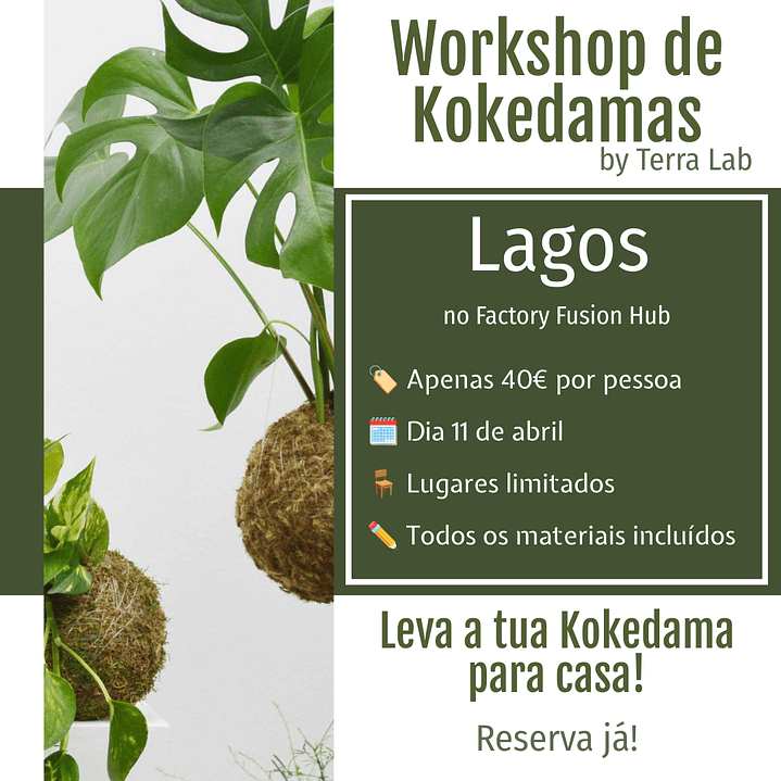 Workshop de Kokedamas - Lagos - 11 de Abril 1