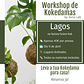 Workshop de Kokedamas - Lagos - 11 de Abril - Thumbnail 1