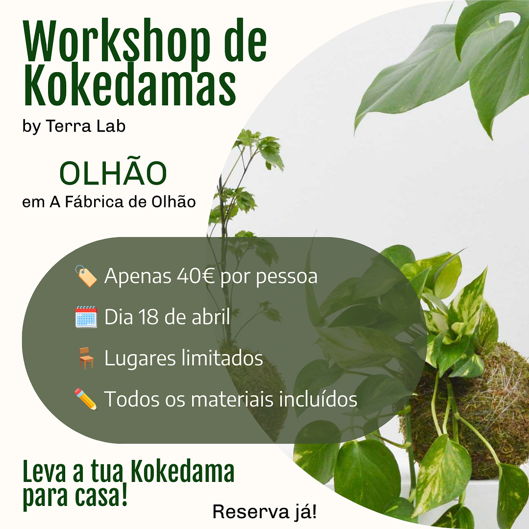 Workshop de Kokedamas - Olhão - 18 de Abril 1